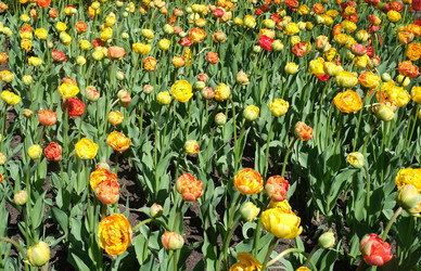 Similar image 22190515