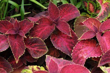 Similar image 22190521