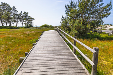 Similar image 22193847