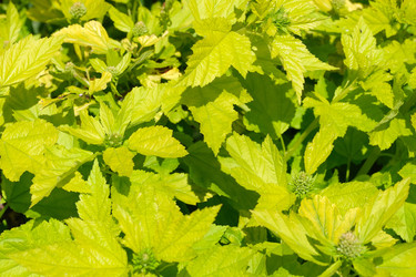 Similar image 22192151