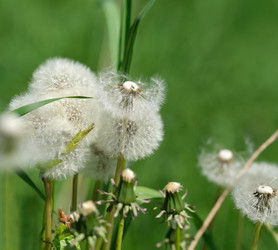 Similar image 22192152