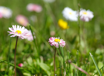 Similar image 22192159