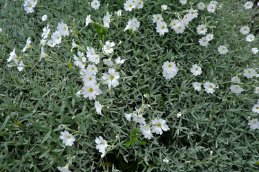 Similar image 22192160