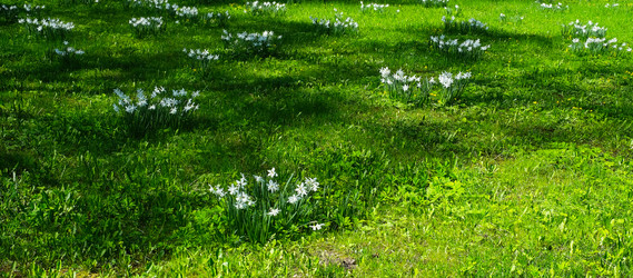 Similar image 22192164