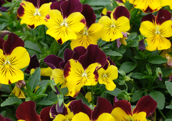 Similar image 22192165