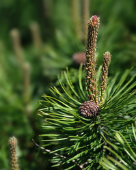 Similar image 22192168