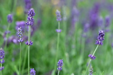 Similar image 22192169