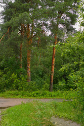 Similar image 22192172