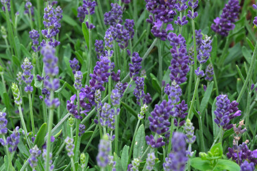 Similar image 22192175