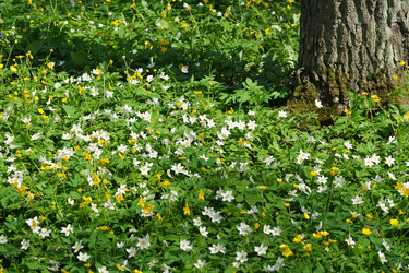 Similar image 22192176