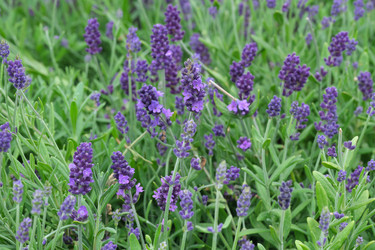 Similar image 22192177