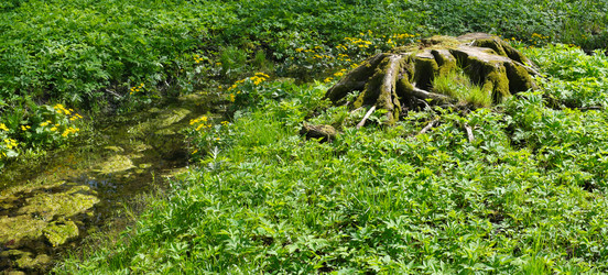 Similar image 22192178