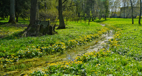 Similar image 22192180