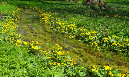 Similar image 22192181