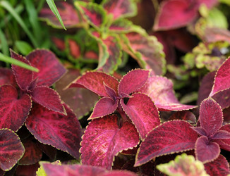 Similar image 22192183