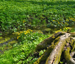 Similar image 22192184