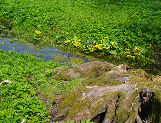 Similar image 22191800