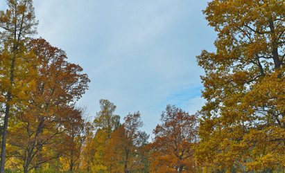 Similar image 22191806