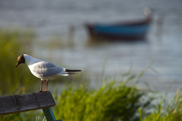 Similar image 22191810