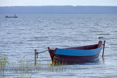 Similar image 22191812