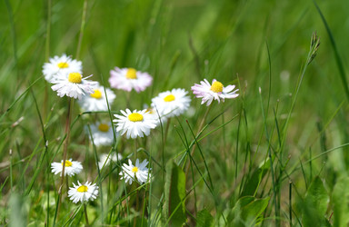 Similar image 22191813