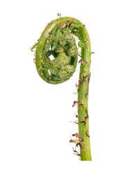 Similar image 22191815