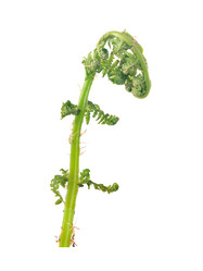 Similar image 22191817