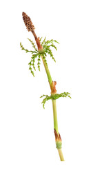 Similar image 22191823