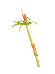 Similar image 22191825