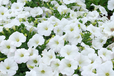 Similar image 22191827