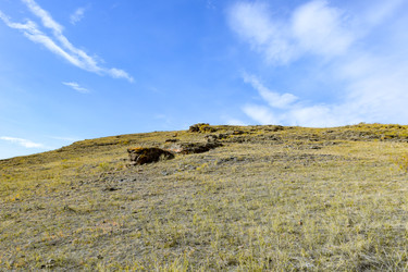 Similar image 22192970