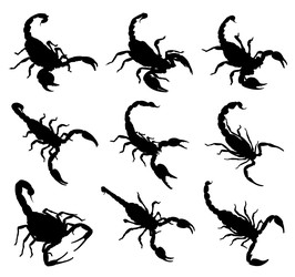 Similar image 22191740