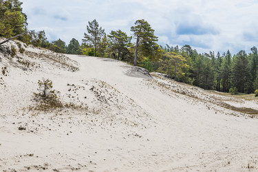 Similar image 22193853