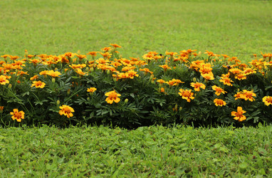 Similar image 22192897