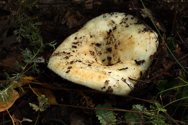 Similar image 22192979