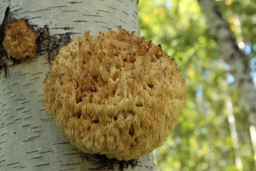 Similar image 22192980