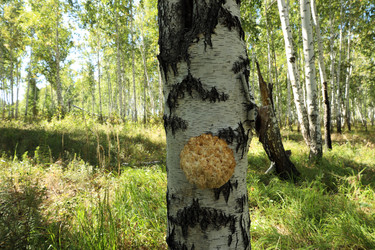 Similar image 22192981