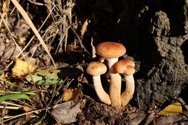 Similar image 22192982