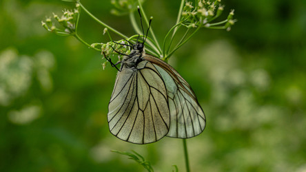 Similar image 22193568