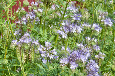 Similar image 22192983