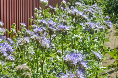 Similar image 22192984