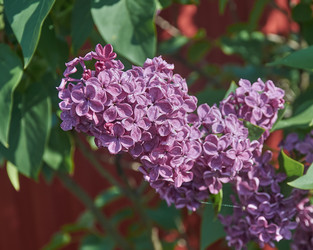 Similar image 22192986