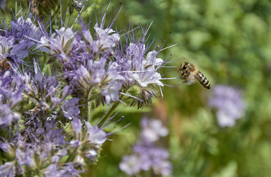 Similar image 22192987