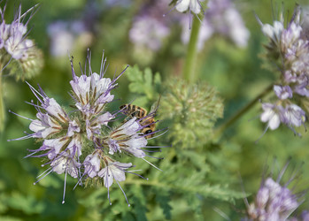 Similar image 22192988