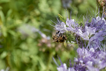 Similar image 22192989