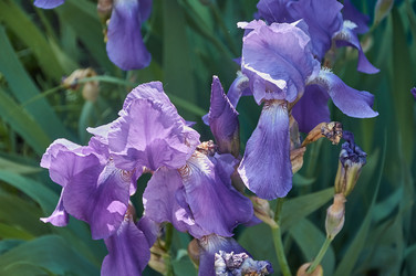 Similar image 22192990