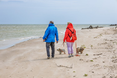 Similar image 22193819