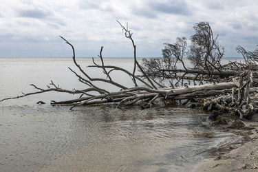 Similar image 22193821