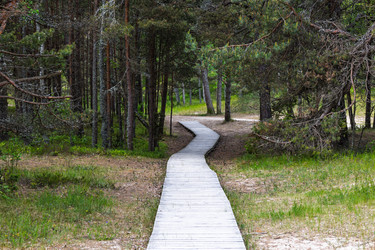 Similar image 22193823