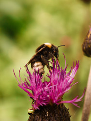 Similar image 22193824